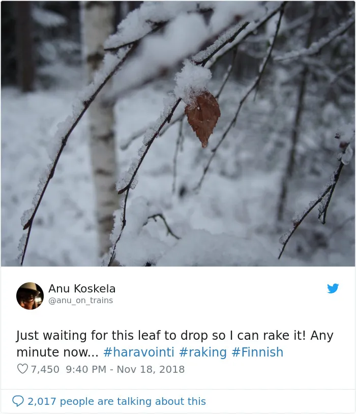 Trump Claims Finland ‘Rakes’ Their Forests To Prevent Fires, And Here Are 43 Of The Best Responses