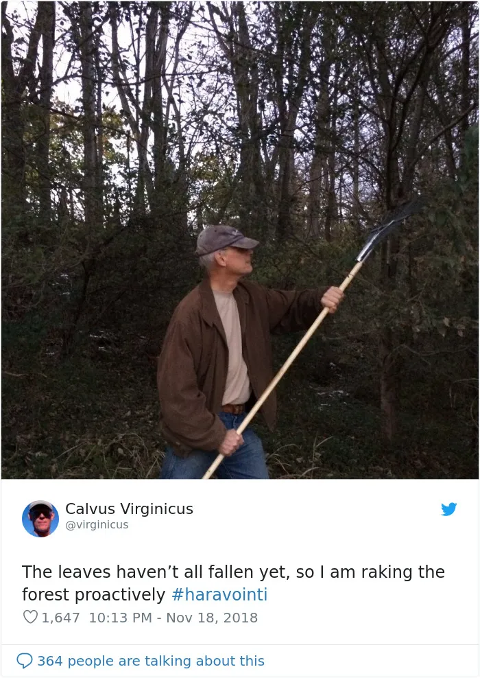 Trump Claims Finland ‘Rakes’ Their Forests To Prevent Fires, And Here Are 43 Of The Best Responses