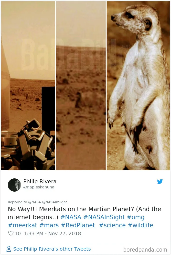 40 Hilarious Reactions To NASA’s InSight’s First Photos From Mars