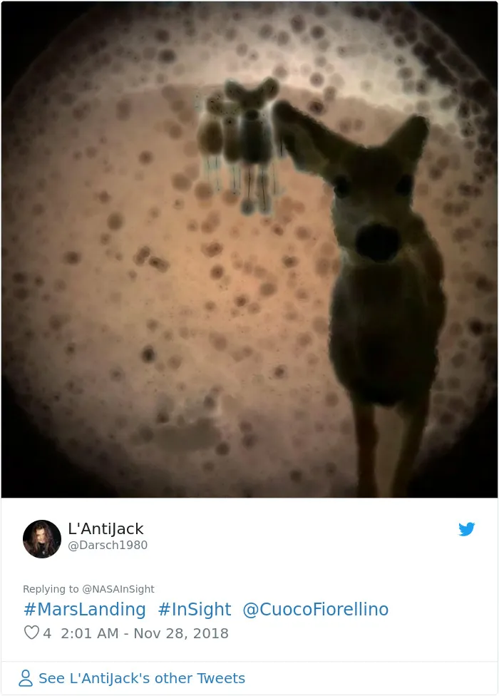 40 Hilarious Reactions To NASA’s InSight’s First Photos From Mars