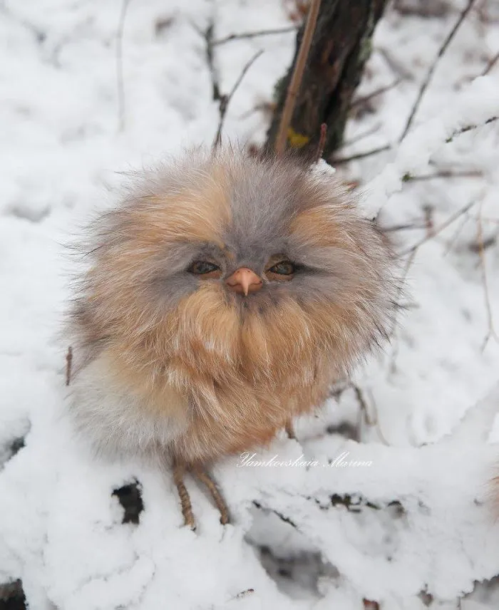 Artist Makes Incredibly Realistic Owl Toys