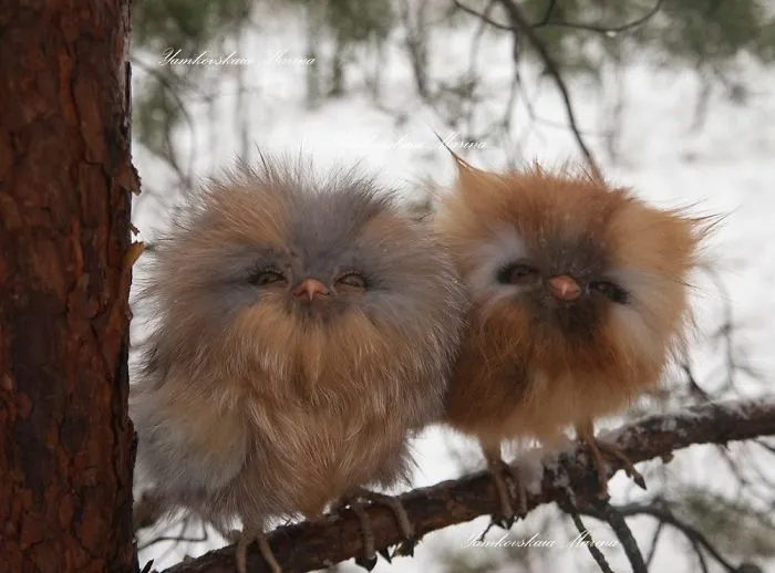 Artist Makes Incredibly Realistic Owl Toys