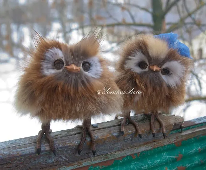 Artist Makes Incredibly Realistic Owl Toys