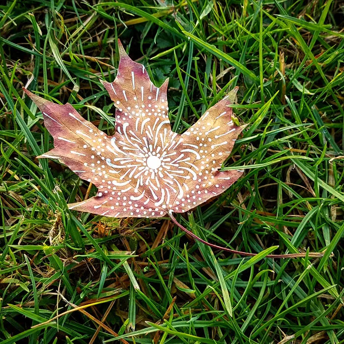 Artist Paints Mandalas Directly Onto Autumn Leaves, Results Are Amazing!