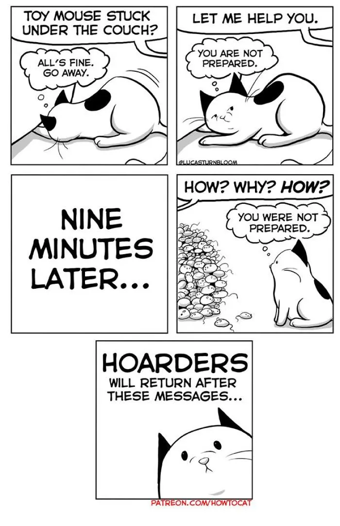 My Wife Insisted That I Put These Comics On The Internet – They’re About A Cat We Rescued (45 New Pics)