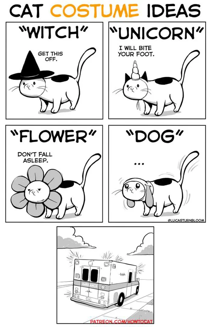 My Wife Insisted That I Put These Comics On The Internet – They’re About A Cat We Rescued (45 New Pics)