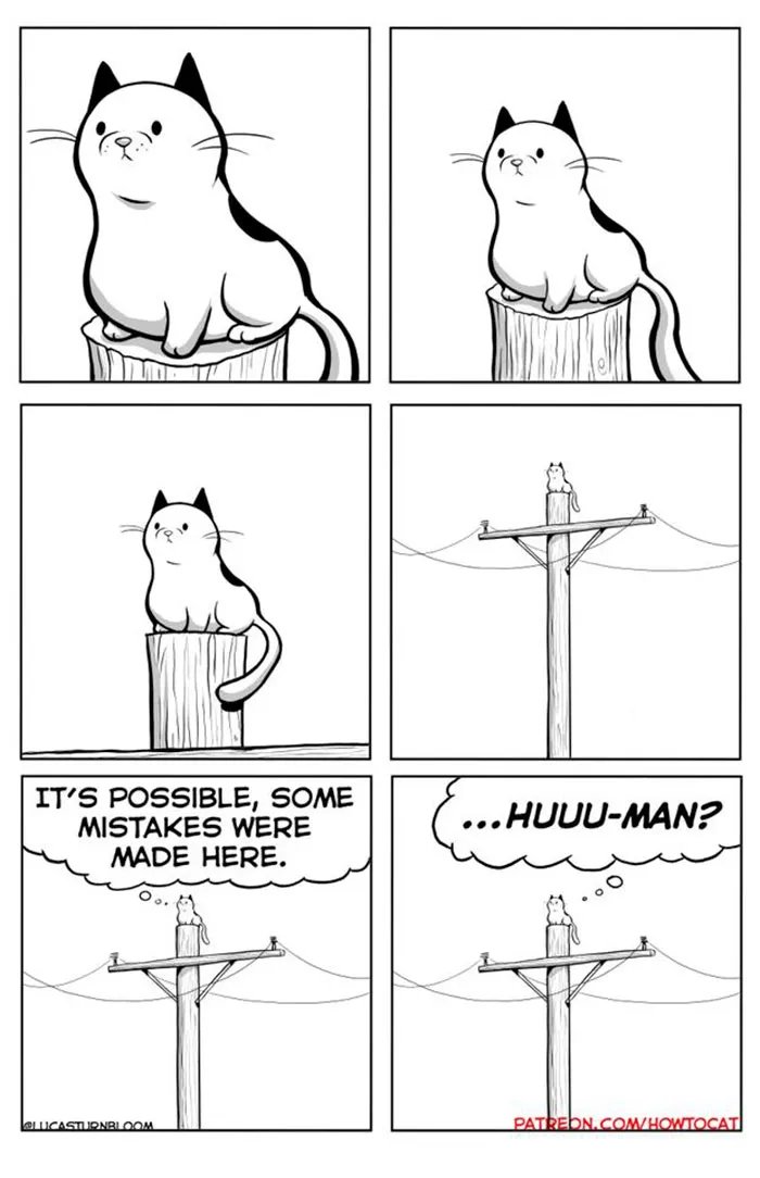 My Wife Insisted That I Put These Comics On The Internet – They’re About A Cat We Rescued (45 New Pics)