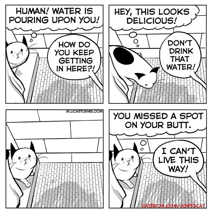My Wife Insisted That I Put These Comics On The Internet – They’re About A Cat We Rescued (45 New Pics)