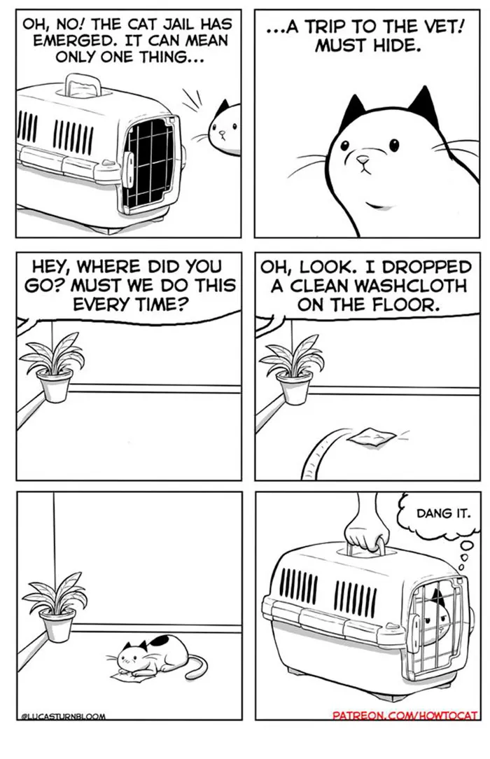 My Wife Insisted That I Put These Comics On The Internet – They’re About A Cat We Rescued (45 New Pics)