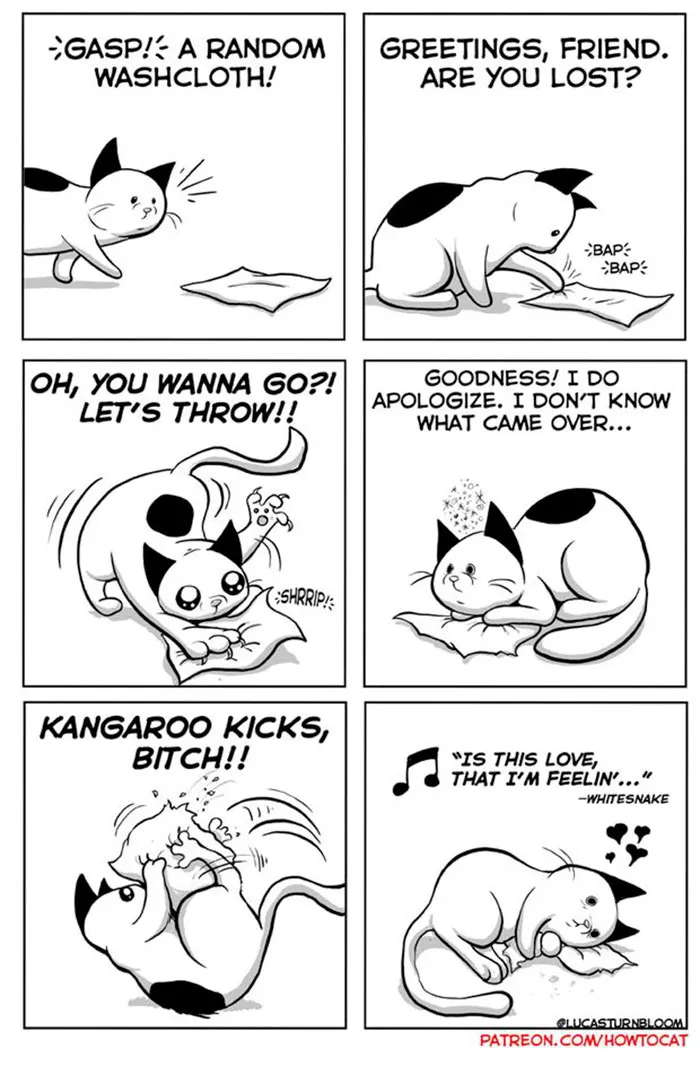 My Wife Insisted That I Put These Comics On The Internet – They’re About A Cat We Rescued (45 New Pics)