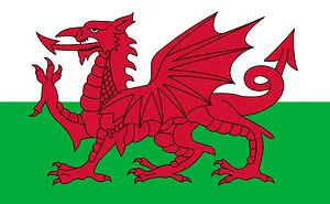 An Open Letter To Prince William, Duke Of Cambridge, Future Prince Of Wales (A Solution To Keep Wales)