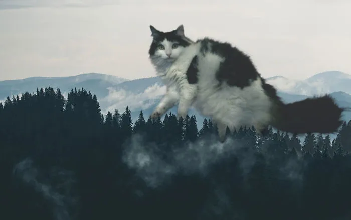 “I Have Been Photoshopping My Cats For The Past Few Years. Have Things Gone Too Far?” (26 Pics)