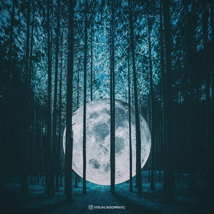 I Am A Selenophile That Expresses His Love To The Moon Through Art