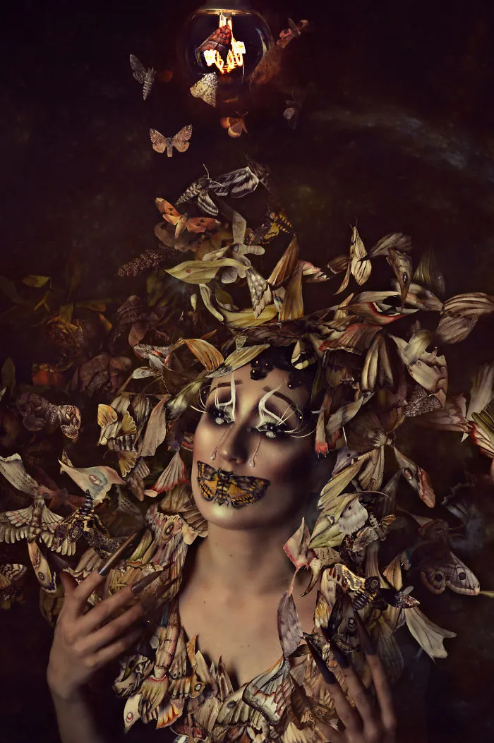 Moth