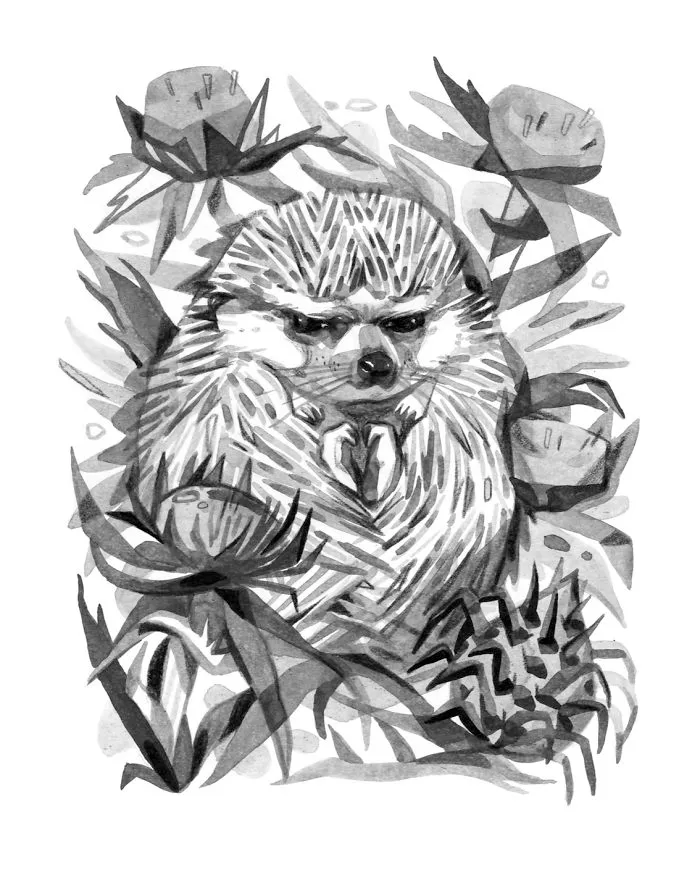 Since Childhood I Have Been Amazed By Nature Films, So I Dedicated My Inktober Drawings To David Attenborough (30 Pics)