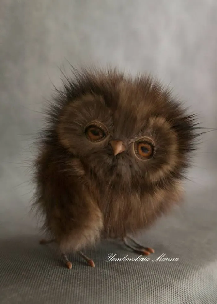 Artist Makes Incredibly Realistic Owl Toys
