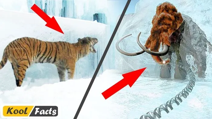 Unbelievable Animals Found Frozen In Ancient Ice