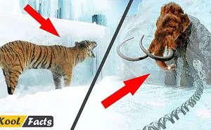 Unbelievable Animals Found Frozen In Ancient Ice
