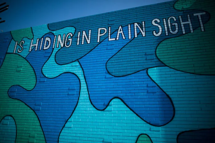 There’s Inexplicable Blue Camouflage Popping Up On Walls All Over Los Angeles, And I’m Here For It.
