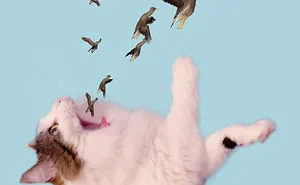 “I Have Been Photoshopping My Cats For The Past Few Years. Have Things Gone Too Far?” (26 Pics)