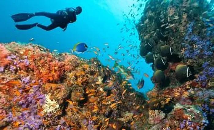 Experience The Sunny Side Of Maldives