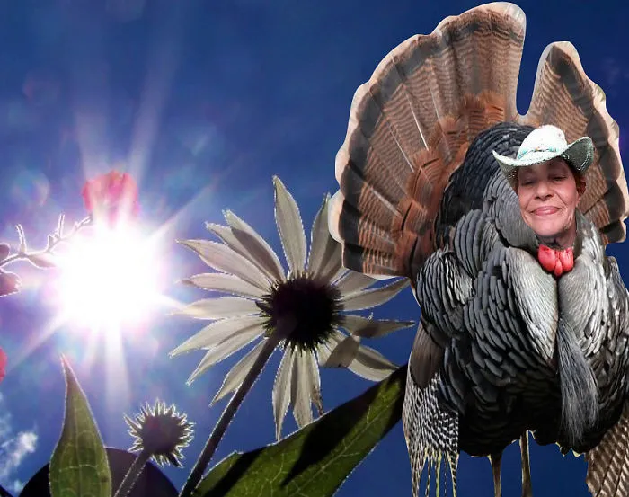 A Beautiful Day For A Turkey!
