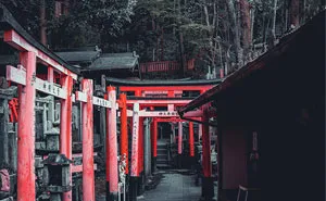 I Spent A Weekend Photographing In Kyoto, Japan And These Are My Favorite Shots (23 Pics)