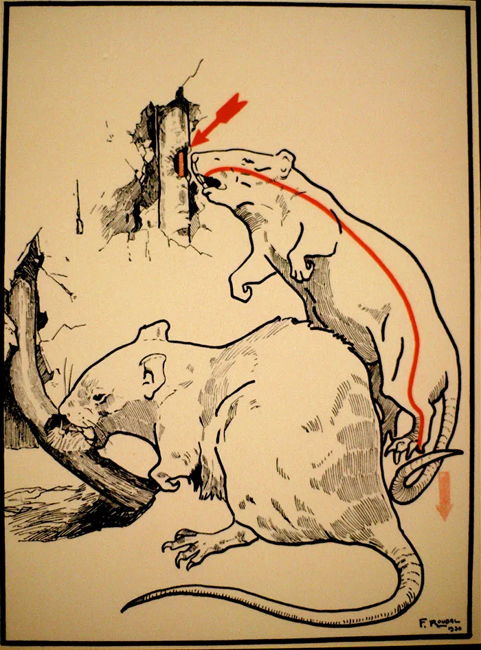 These 30 Ways To Die From Electrocution From A 1931 Book Shows How Much The World Has Changed