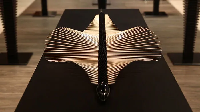 Stingray