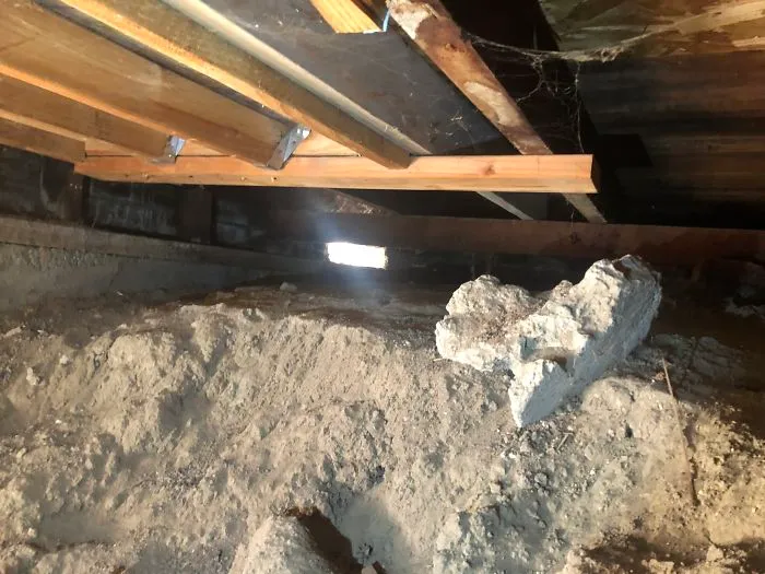 175 Worst Things Seen During Structural Inspections