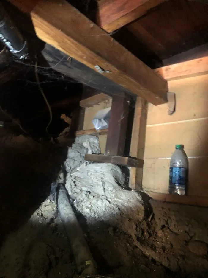 175 Worst Things Seen During Structural Inspections