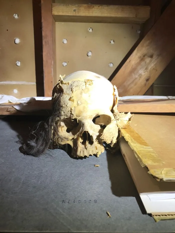 175 Worst Things Seen During Structural Inspections