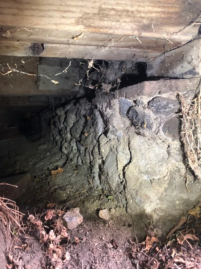 175 Worst Things Seen During Structural Inspections