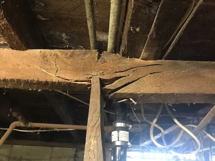 175 Worst Things Seen During Structural Inspections