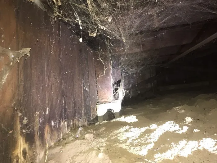 175 Worst Things Seen During Structural Inspections