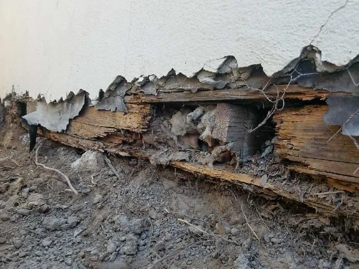 175 Worst Things Seen During Structural Inspections