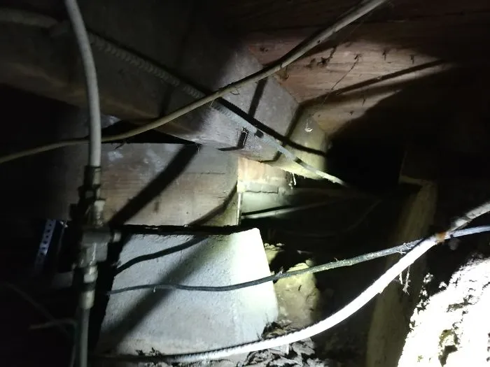175 Worst Things Seen During Structural Inspections