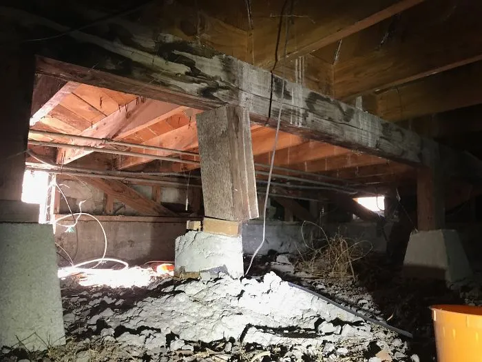 175 Worst Things Seen During Structural Inspections