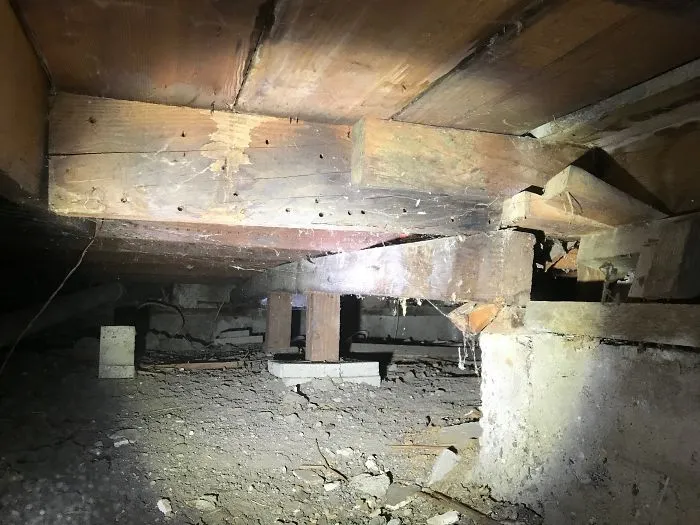 175 Worst Things Seen During Structural Inspections