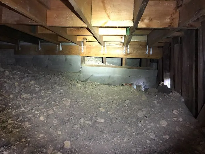 175 Worst Things Seen During Structural Inspections