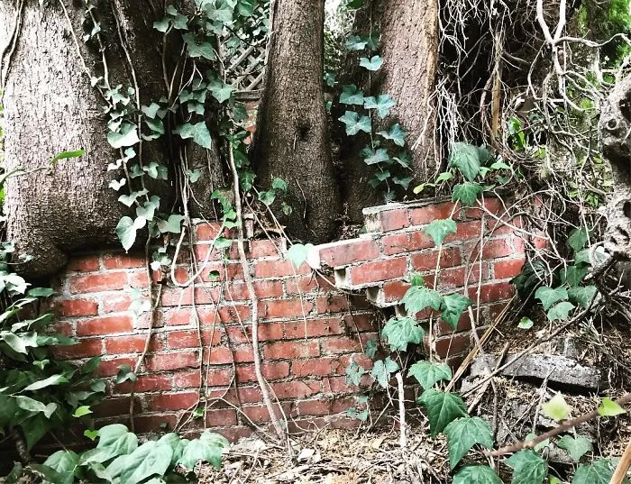 175 Worst Things Seen During Structural Inspections