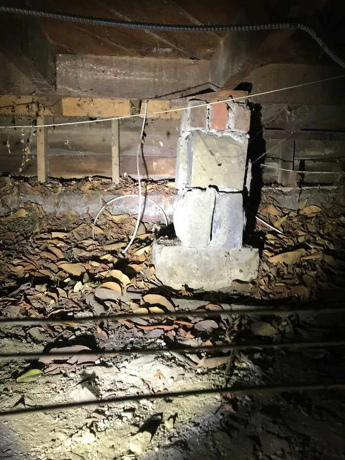 175 Worst Things Seen During Structural Inspections