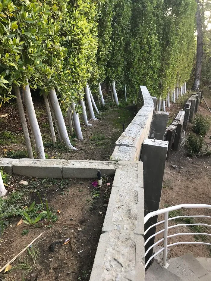 175 Worst Things Seen During Structural Inspections