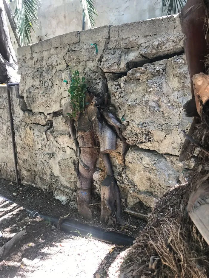175 Worst Things Seen During Structural Inspections