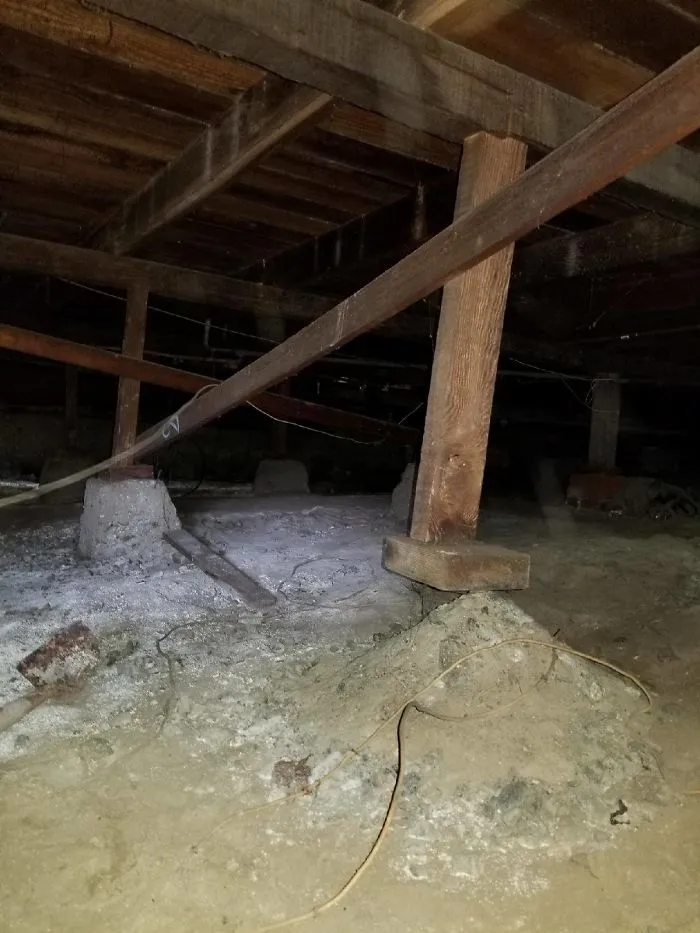 175 Worst Things Seen During Structural Inspections