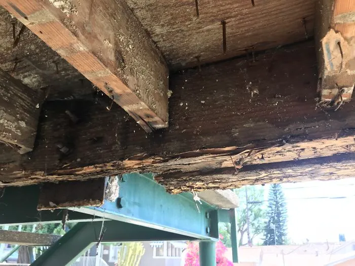 175 Worst Things Seen During Structural Inspections