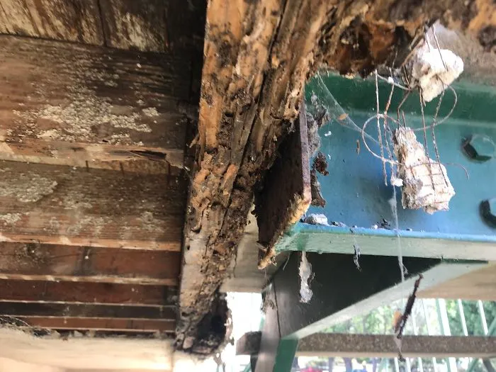175 Worst Things Seen During Structural Inspections