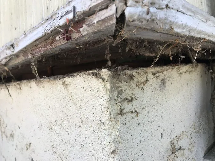 175 Worst Things Seen During Structural Inspections