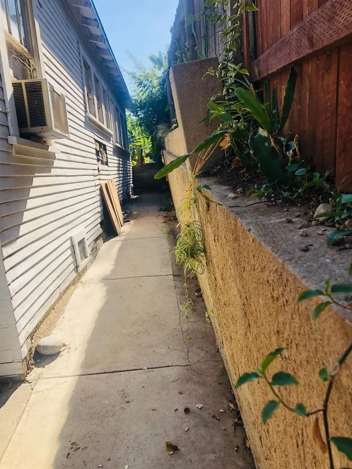 175 Worst Things Seen During Structural Inspections