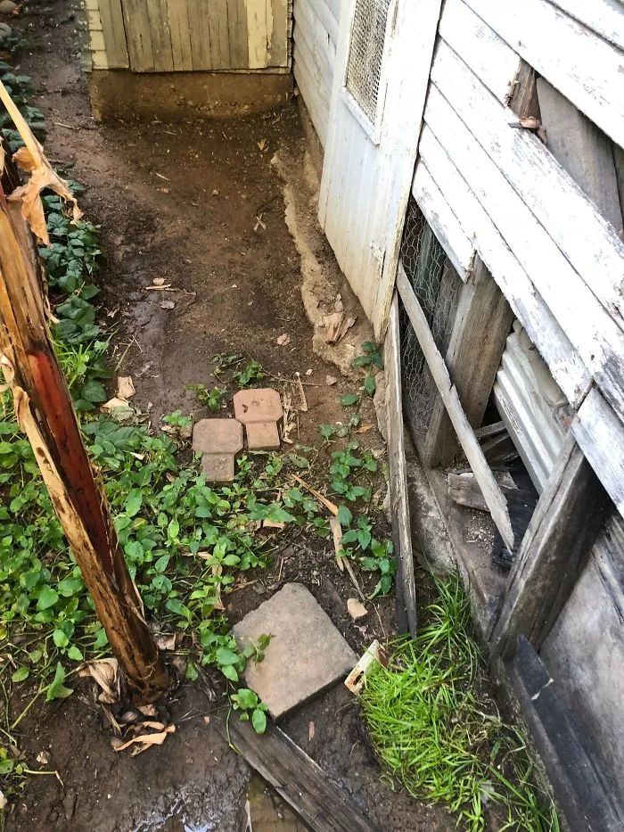 175 Worst Things Seen During Structural Inspections
